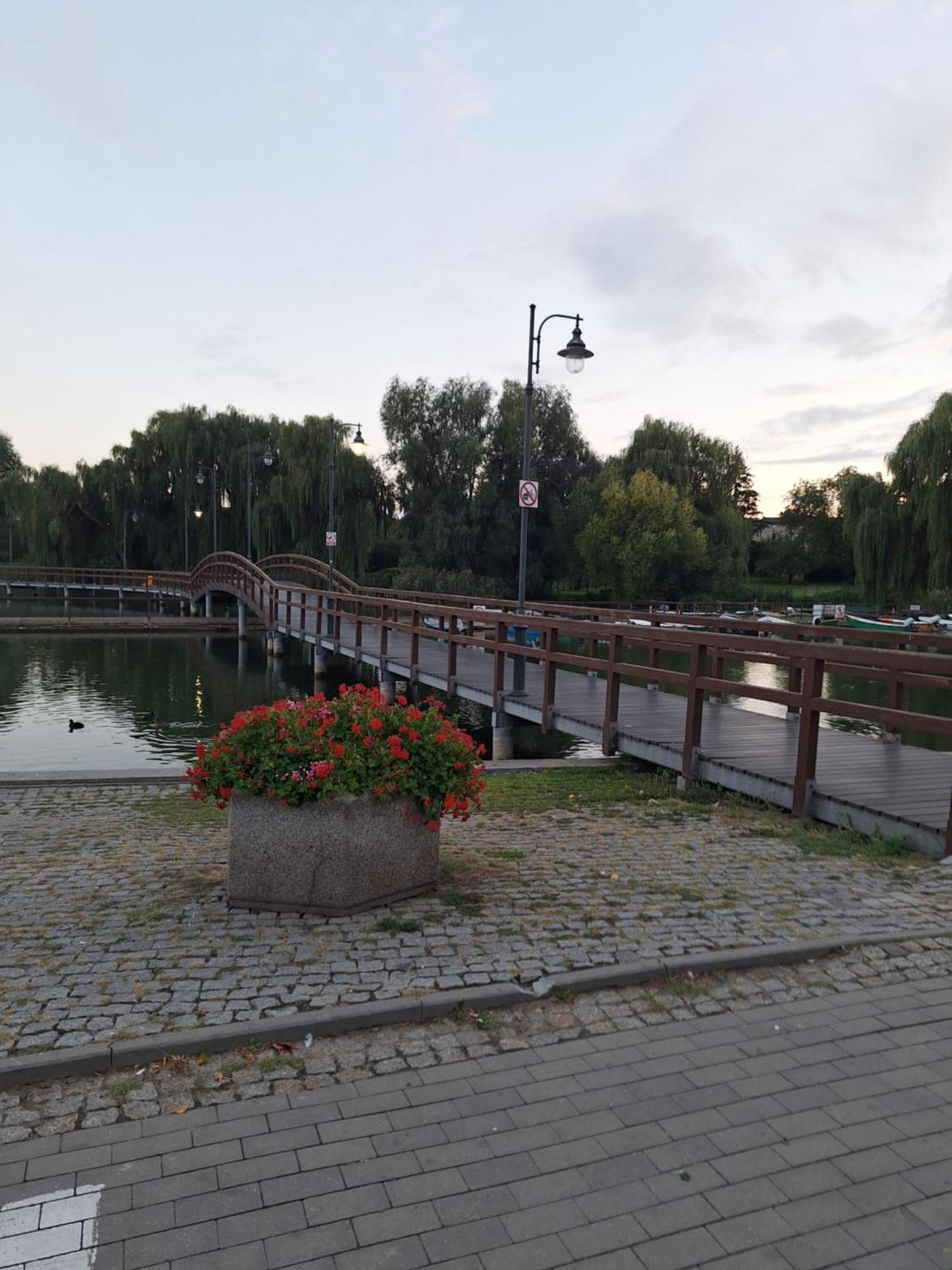 Apartament Chełmża 외부 사진
